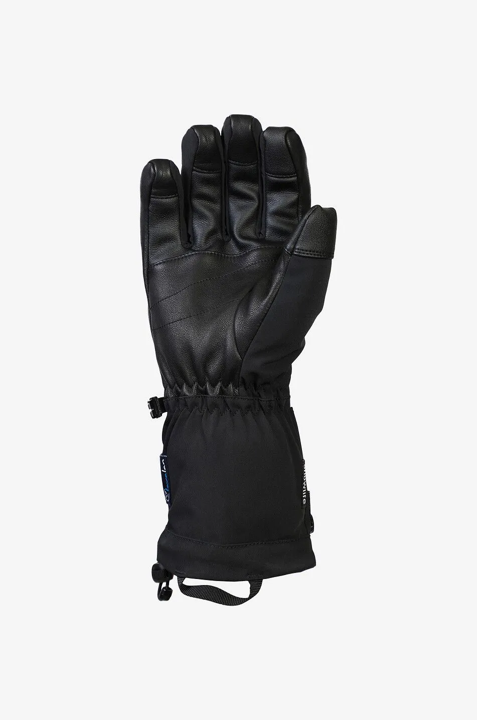 Gants de ski Heat DT Glove